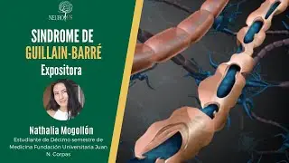 Síndrome de Guillain Barré