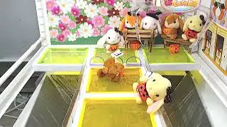 Crane Game Toreba ~ Got [Pote Usa Loppy - Halloween  C]!!