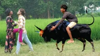 Very Special Trending Comedy Video 2024 😂 Amazing Funny Video Episode 24 By official south 
