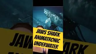 🦈 Jaws Ride Animatronic Submechanophobia #submechanophobia #animatronics #horrorshorts #creepy