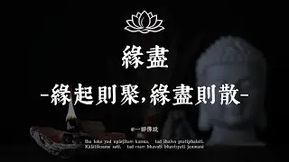 如果有人突然從你的世界消失，不必問為什麼#修行 #國學 #人生感悟 #治癒