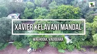 Save trees save environment | Save nature save humanity | Xavier Kelavani Mandal Vadodara