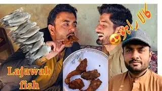 Sardion ki sugaat Kala rahoo🐟| fish vlog | Arbab Bhatti Vlog 