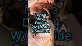 Saiyaara Day 14 Worldwide Collection|| #saiyaara #akrmoviemorsel