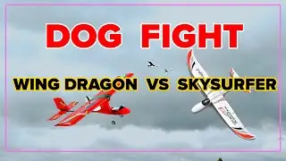 DOG FIGHT | WINGDRAGON VS SKYSURFER