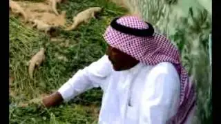 مزرعة ضبان  في السعودية
