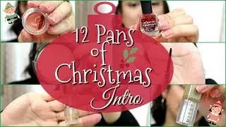 12 Pans of Christmas Project Pan INTRO | TIS THE SEASON!!