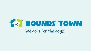 &ldquo;Paw Talk with Ilka Ross: The Preventative Care Every Pet Owner MUST Know&rdquo;