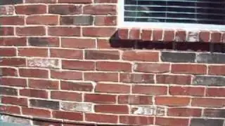 Home Inspection Yellow Hat Call 10380 Ferry Farm Frisco TX (2)