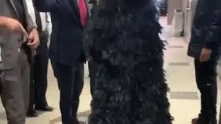 #cardib earlier today at Queens county criminal court in New York today! 💋 🎥: