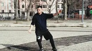 yang tai chi chuan 40