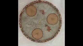 Satisfying reveal  - Semi-transparant koi pond