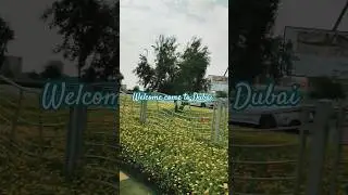 #dubai #dubaihighlights #like #subscribe #comment#viralvideo