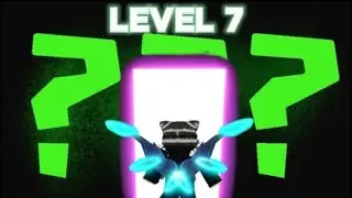 DOORS DAILY RUNS (RUN 7)