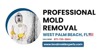 Mold Removal West Palm Beach FL | ☎ 877-735-3864 | Mold Removal and Remediation Services in Florida
