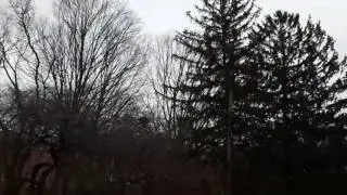 Nor'easter Storm hits the Northeast STRONG GUSTY WIND STORM (50-55 miles per hour)