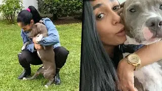 Así luce hoy el primer perrito que rescaté