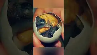 Балут: культовое филиппинское блюдо уличной кухни, которое обязательно нужно попробовать | Кулина...