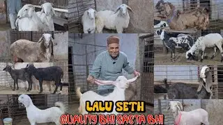 DHAMAKA🔥 Mujhe Pyar Do Main Tumhen Sasta Dunga Looto Aur Shouk Karo || Lalu Seth Bhiwandi Mumbai ||