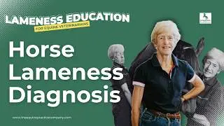 Horse Lameness Diagnosis: Signs Riders Often Miss