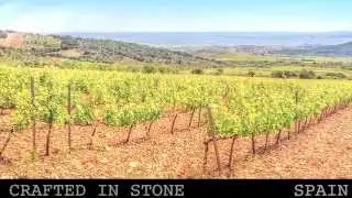 Vineyards of Cari&ntilde;ena