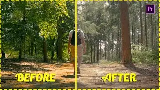 Cinematic color grading Premiere Pro Free Presets. Mr. Techist.