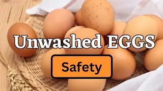 How to Clean Unwashed Eggs