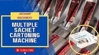 Multiple Sachet Cartoning Machine | Packaging Solution for Multiple Lane Stick Pack Machine