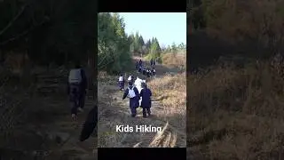 冬令营组织传承班孩子徒步/The heritage class children hike during winter camp  #wudang #chenglisheng #kungfu #太极拳