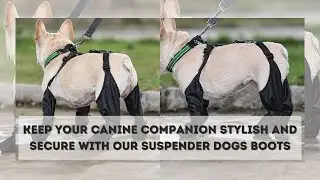 Suspender Dogs Boots - Waterproof Dog Shoes Adjustable Dog Boots Non Slip Breathable