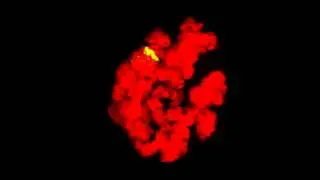 The JIL-1 kinase regulates the structure of Drosophila polytene chromosomes