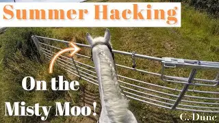 Lovely Summer Hack on Misty! | Helmet Cam