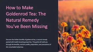 How to Make Goldenrod Tea