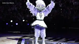 Golden State Valkyries reveal Violet the raven as mascot