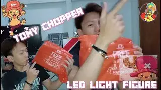 One Piece Tony Chopper Collection | Led Light Figure