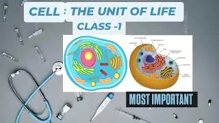 #cell #anatomyexplained #anm #gnm #FUNCTION of Cell #deffination #nursingstudent #nursingexam