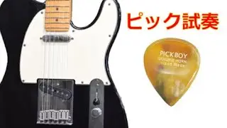 【ピック試奏 / GENUINE HORN 水牛のツノ】PICKBOY / GENUINE HORN（テレキャスター）