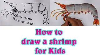 Shrimp drawing for kids || How to draw Shrimp for kids || ART ACADEMY
