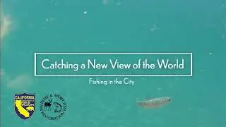 Fishing in the City: The Ethics of Fishing