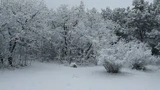 VID 20190106 091712