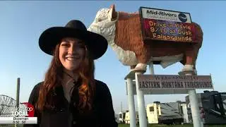 World-Famous Miles City Bucking Horse Sale
