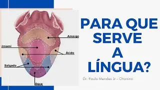 Quais as funções da língua?  Otorrino em Curitiba te explica.