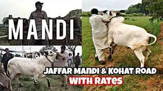Jaffar Mandi & Kohat Road with Demands || Hammad Paracha Vlog Part-1