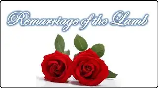 6. The Marriage, Divorce, & Re-Marriage of the LAMB