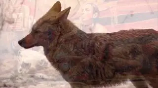 Caleb Hennessy - Coyote Cries (Native American Ambient)