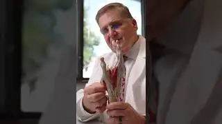 Meet Dr. Jones | Your Hand Health Expert #handsurgeon