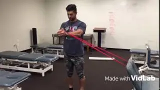 Core Anti-rotation progressions.