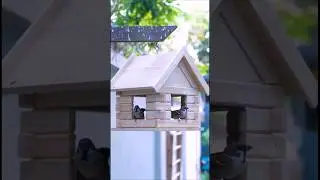 Build an AMAZING Wooden Bird Feeder from Pallets in No Time!