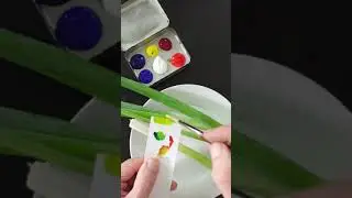 Matching the Color of Green Scallions With Acrylics #Shorts