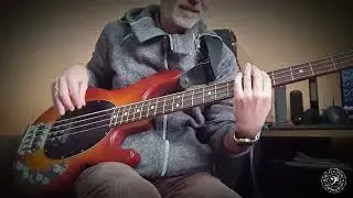 The Black Crowes - Hard To Handle (bass cover , jam)